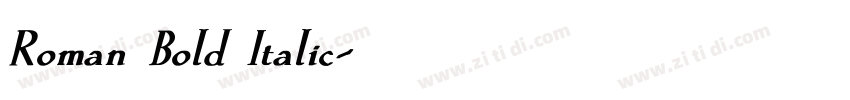 Roman Bold Italic字体转换